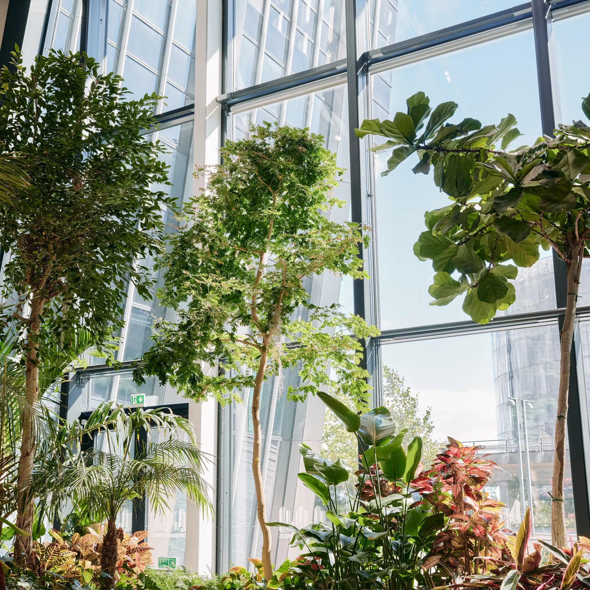 Grøn atrium i solskin på Crowne Plaza Copenhagen